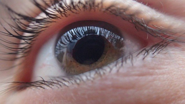 Até 80% dos casos de cegueira poderiam ser evitados com prevenção e tratamento